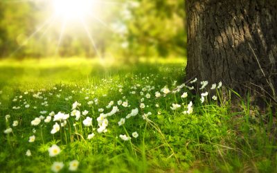Blog2